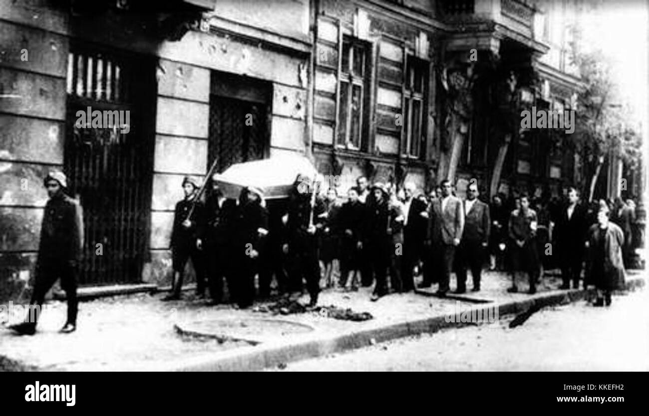 Rozpylacz est le mot polonais pour « pulvérisateur », se référant généralement à un dispositif utilisé pour disperser des liquides dans une fine brume, couramment utilisé dans l'agriculture et le jardinage pour les pesticides ou l'arrosage. Banque D'Images