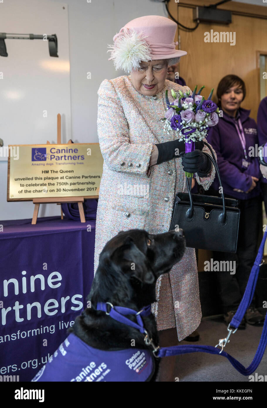 La reine Elizabeth II est titulaire de la traversée que "Yarna" le labrador noir accidentellement tomber à ses pieds après sa visite à la "charité" partenaires canins à Midhurst dans le Sussex. Banque D'Images