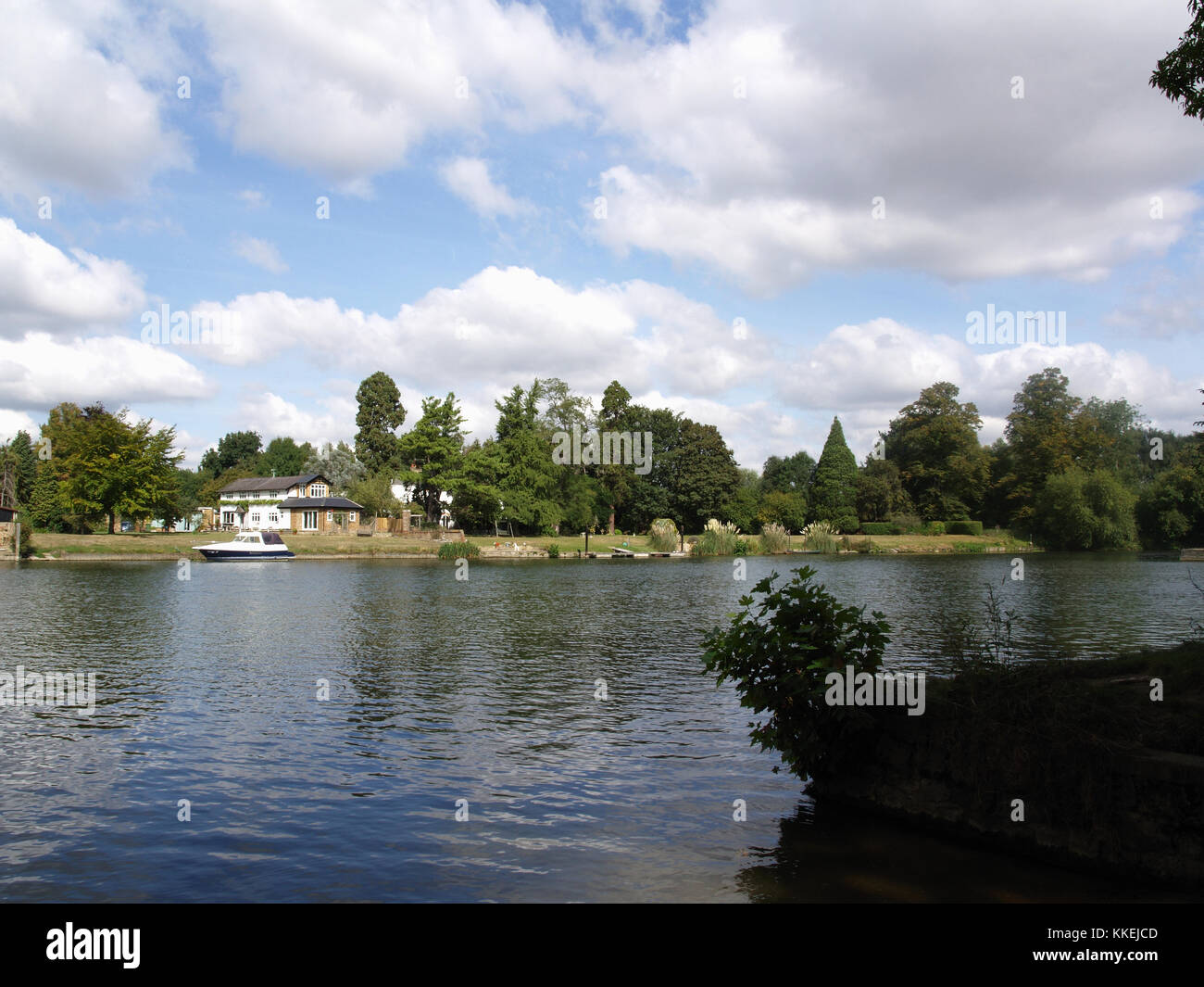 Vue sur Fleuve vers shepperton landing de rive de la Tamise à Weybridge, Surrey, England, UK Banque D'Images