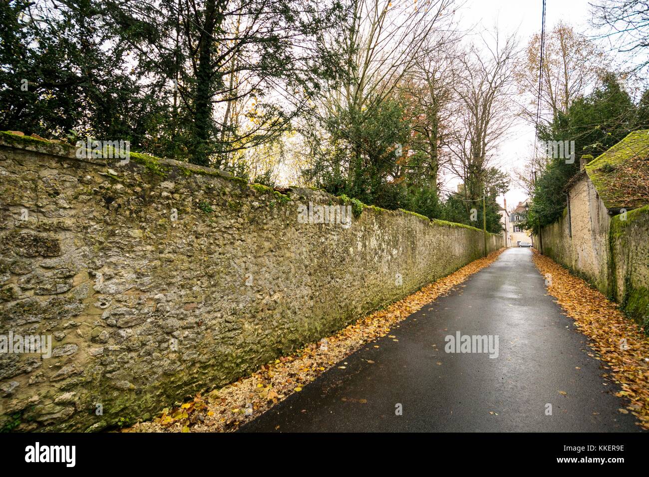 Provins, un ancien palais de chasse royale française. Vue sur la rue avec des feuilles d'or. Banque D'Images