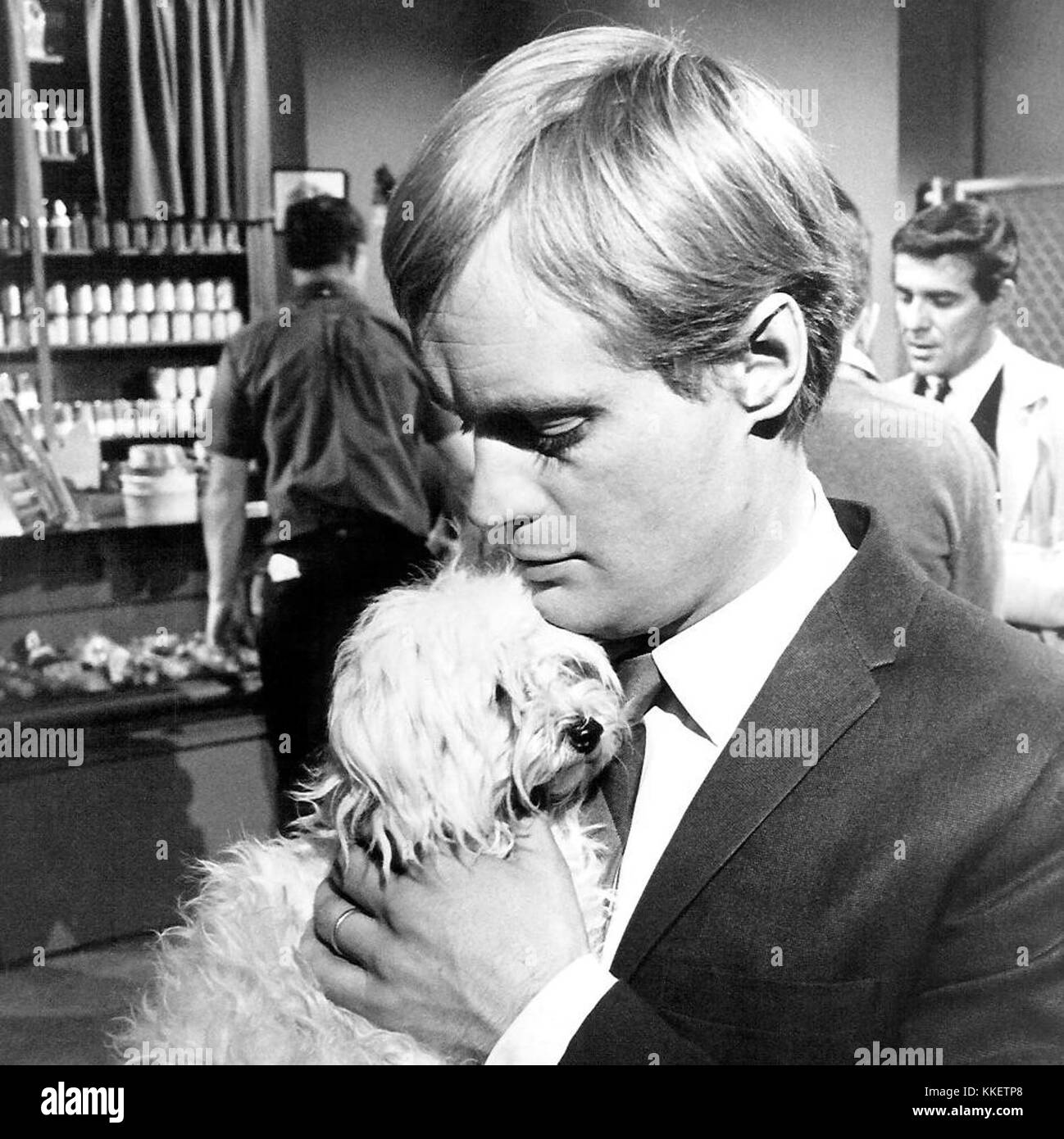 David McCallum a joué le rôle d'Illya Kuryakin dans l'émission de télévision emblématique des années 1960 'The Man from U.N.C.L.E.', une série d'espionnage qui a gagné en popularité pour ses thèmes d'action et de guerre froide. Banque D'Images
