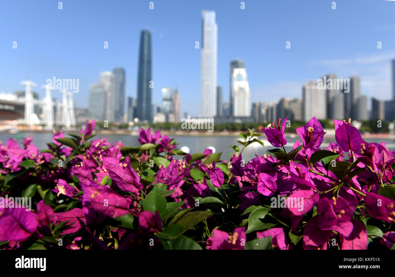 Guangzhou. 4 décembre 2017. La photo prise le 4 décembre 2017 montre un parterre à Guangzhou, dans la province du Guangdong du sud de la Chine. Le Forum mondial Fortune 2017 se tiendra à Guangzhou du 6 au 8 décembre. Crédit : lu Hanxin/Xinhua/Alamy Live News Banque D'Images