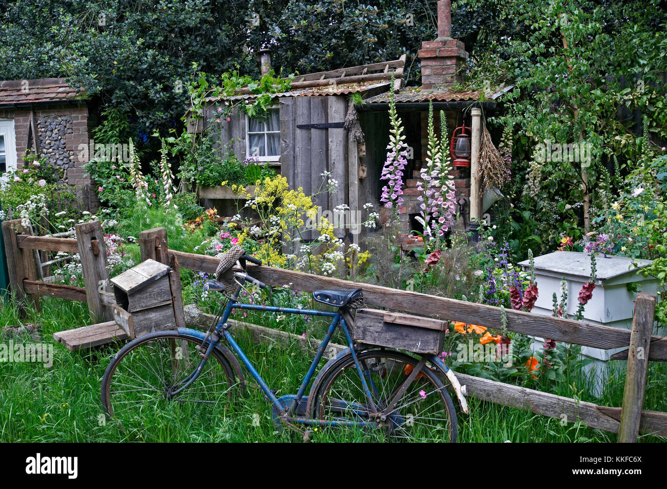 Un jardin de fleurs sauvages d'un alchimiste fenland Banque D'Images