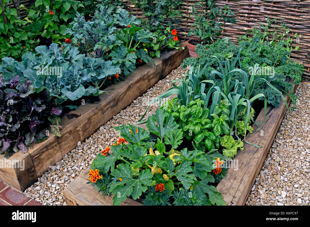 Jardin de légumes comestibles pour enfants avec des lits surélevés Banque D'Images