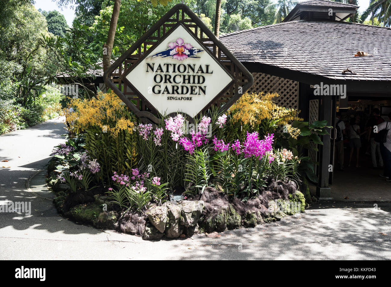 Les Jardins Nationaux d'orchidées au Jardin Botanique de Singapour, une destination populaire pour les touristes Banque D'Images