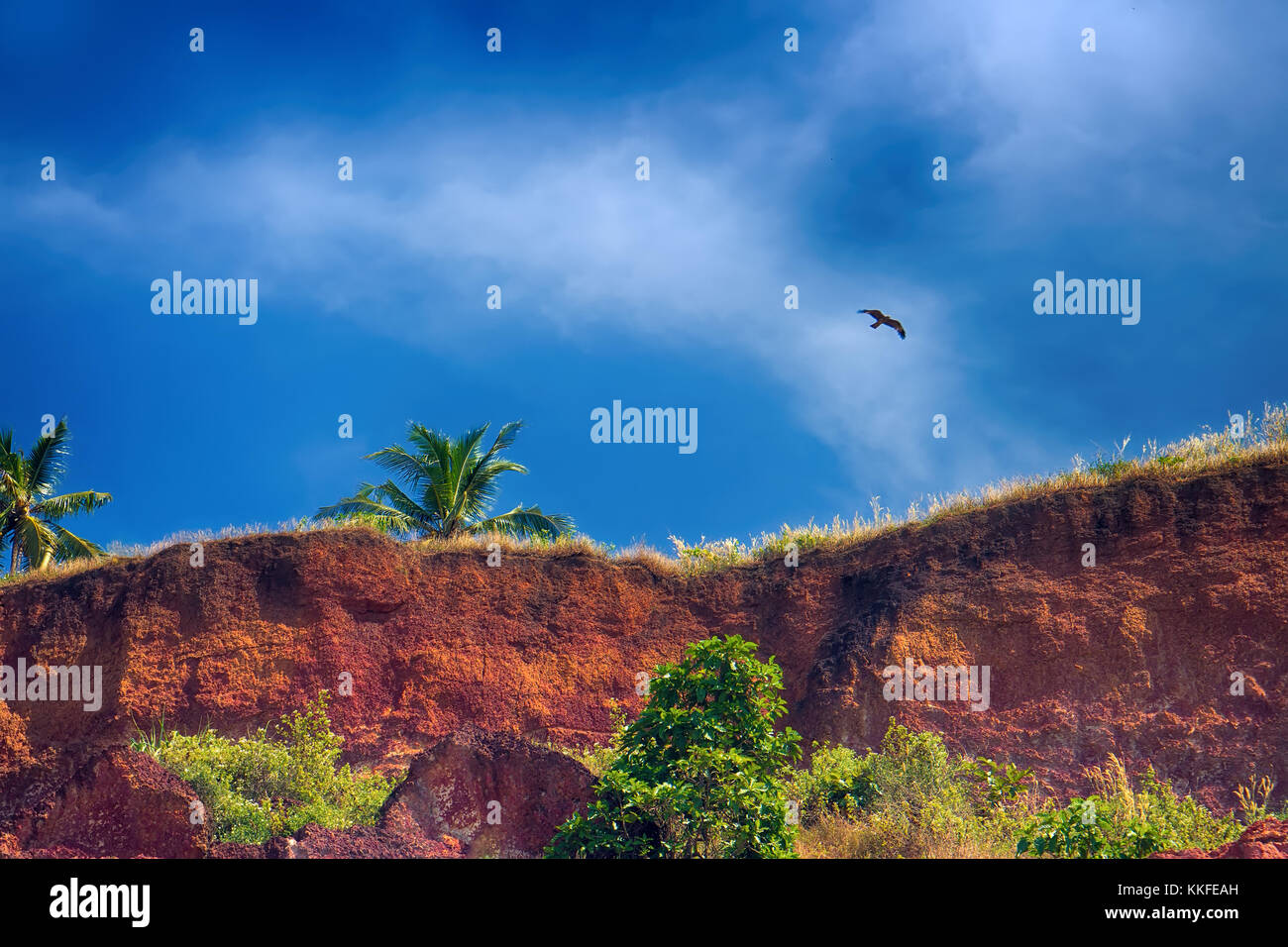 La côte à falaise mer. Un exemple de ciel intensément bleu au-dessus de falaise d'argile (phénomène de contraste de couleurs simultanées). palmiers poussent sur le bord du golfe Persique. s. Banque D'Images