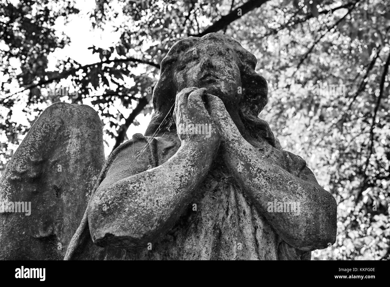 Le visage d'un ange magnifiquement sculpté parle d'adoration et de dévotion. Banque D'Images Le visage d'un ange magnifiquement sculpté parle d'adoration et de dévotion. Banque D'Images
