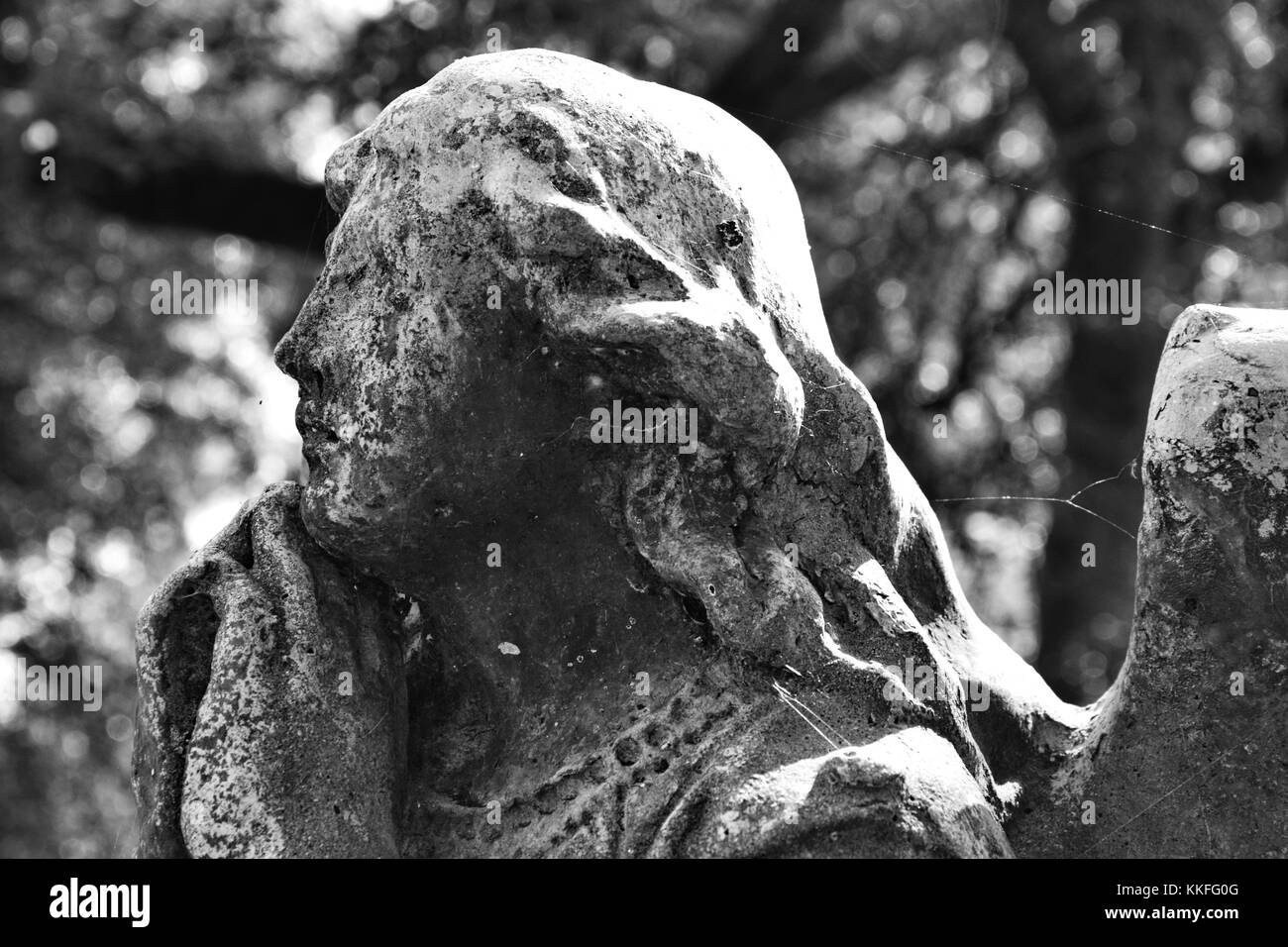 Le visage d'un ange magnifiquement sculpté parle d'adoration et de dévotion. Banque D'Images Le visage d'un ange magnifiquement sculpté parle d'adoration et de dévotion. Banque D'Images