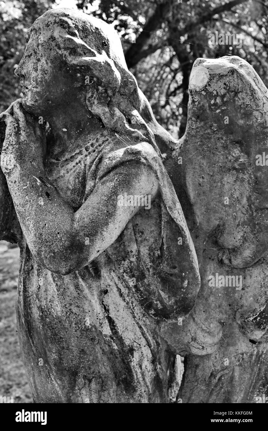 Le visage d'un ange magnifiquement sculpté parle d'adoration et de dévotion. Banque D'Images Le visage d'un ange magnifiquement sculpté parle d'adoration et de dévotion. Banque D'Images