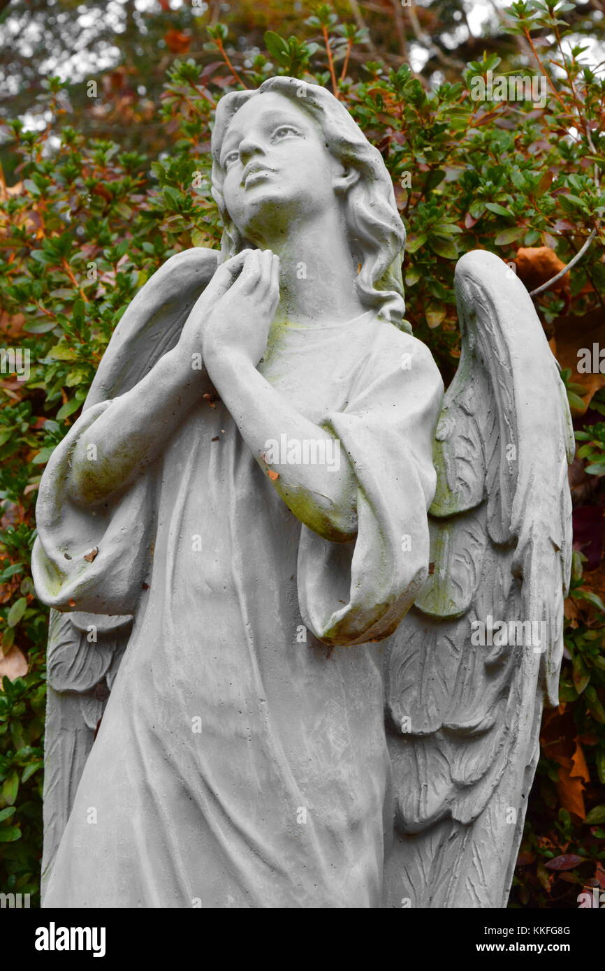 Un engagement solennel devant angel propose des prières avec les yeux et le coeur levé vers le ciel. Banque D'Images Un engagement solennel devant angel propose des prières avec les yeux et le coeur levé vers le ciel. Banque D'Images