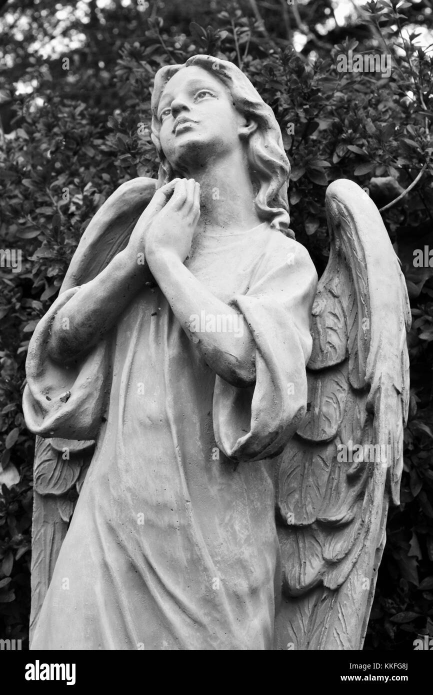 Un engagement solennel devant angel propose des prières avec les yeux et le coeur levé vers le ciel. Banque D'Images Un engagement solennel devant angel propose des prières avec les yeux et le coeur levé vers le ciel. Banque D'Images