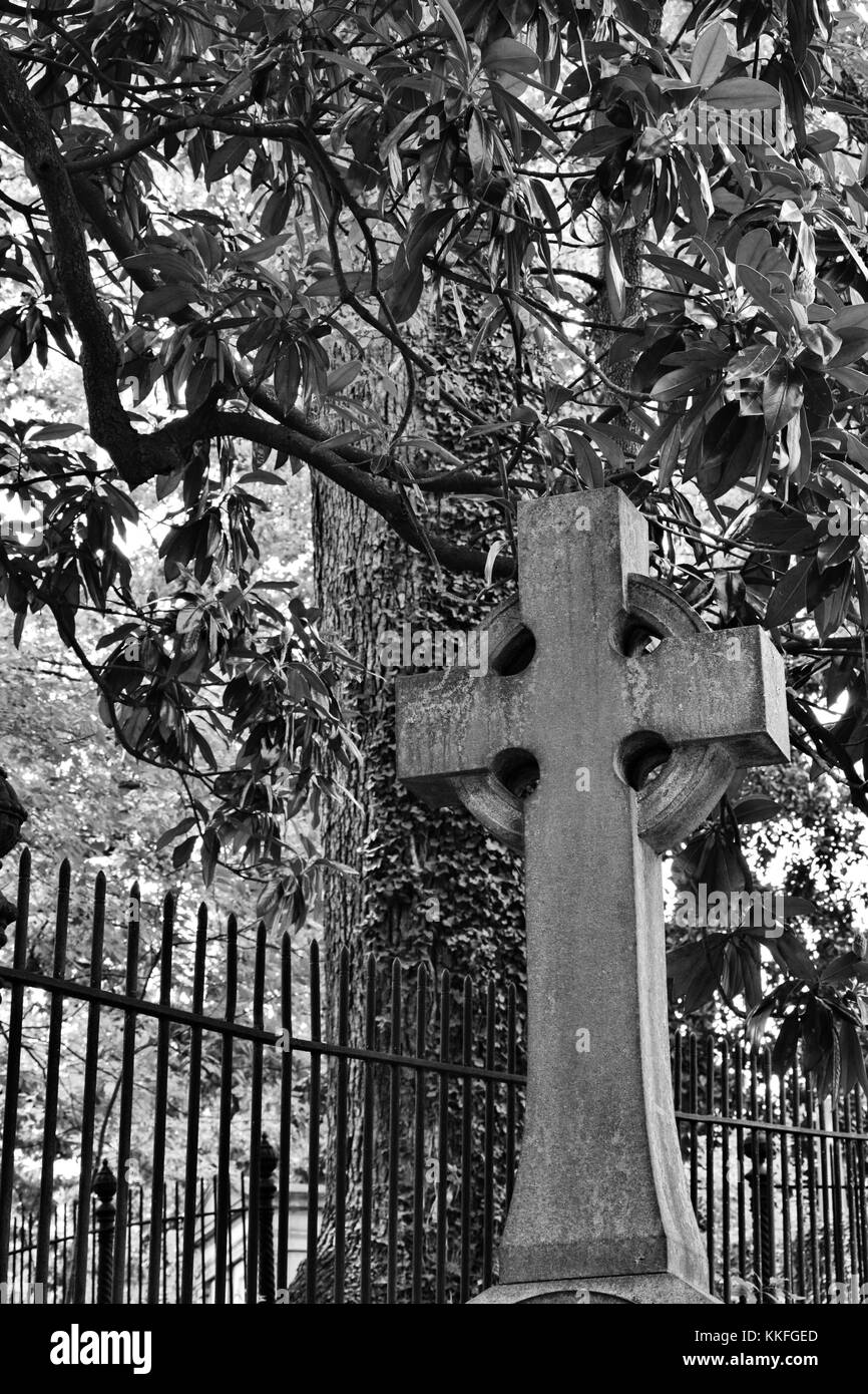 Situé entre les branches et magnolia gnarly clôtures en fer forgé, ce simple sans ornement croix marque une tombe. Banque D'Images Situé entre les branches et magnolia gnarly clôtures en fer forgé, ce simple sans ornement croix marque une tombe. Banque D'Images