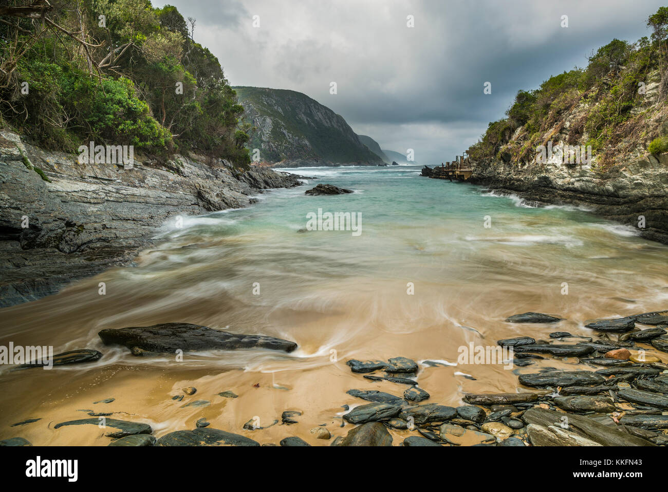 Parc National Garden Route, Western Cape, Afrique Du Sud Banque D'Images