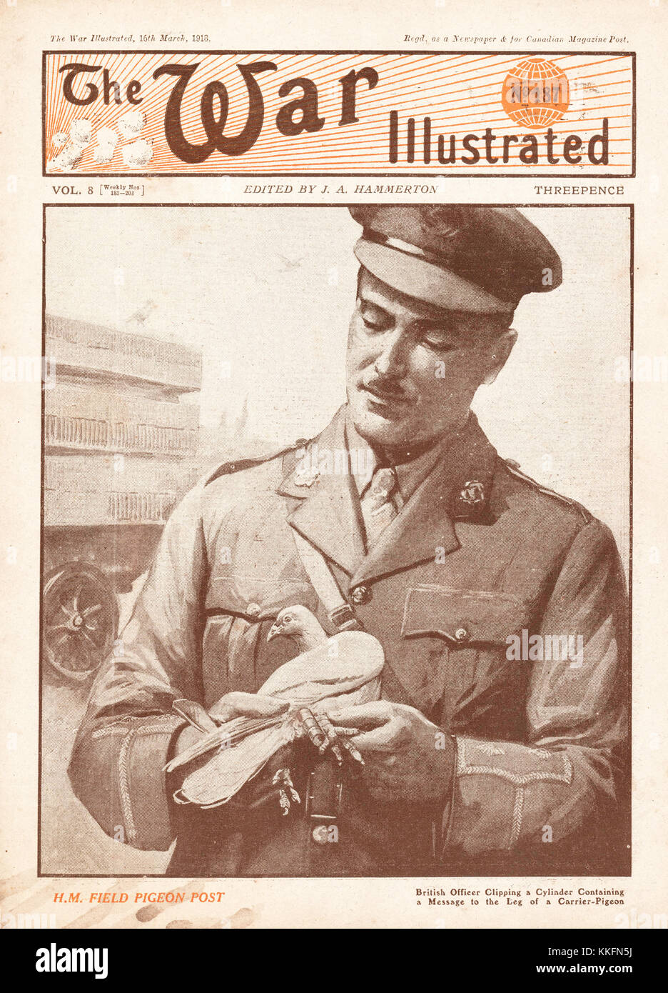 La guerre de 1918 l'Illustre Officier britannique et le transporteur Pidgeon Banque D'Images