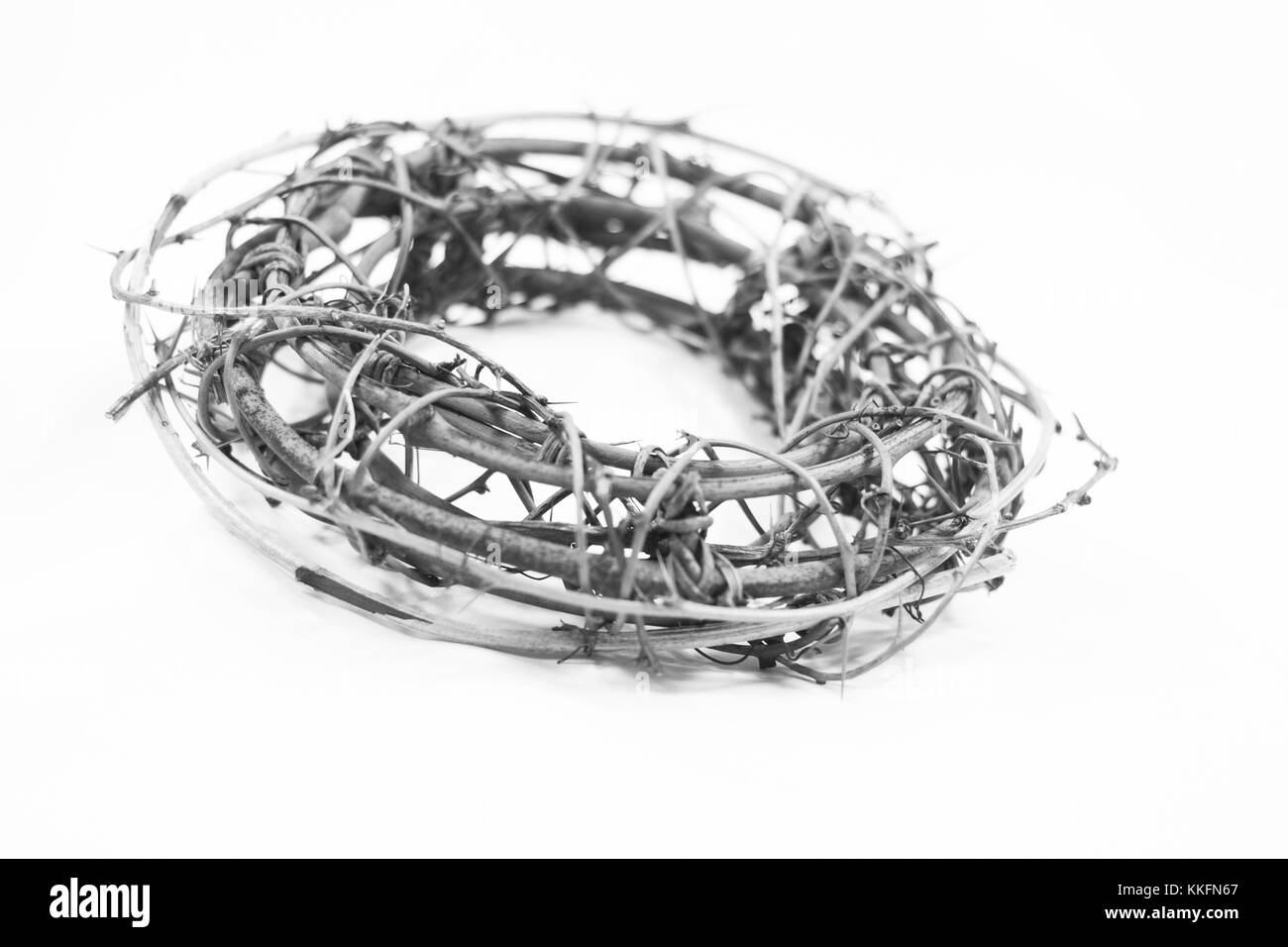 Couronne d'épines, comme portés par Jésus Christ dans l'histoire de pâques passion lors de sa crucifixion, sur un fond blanc Banque D'Images