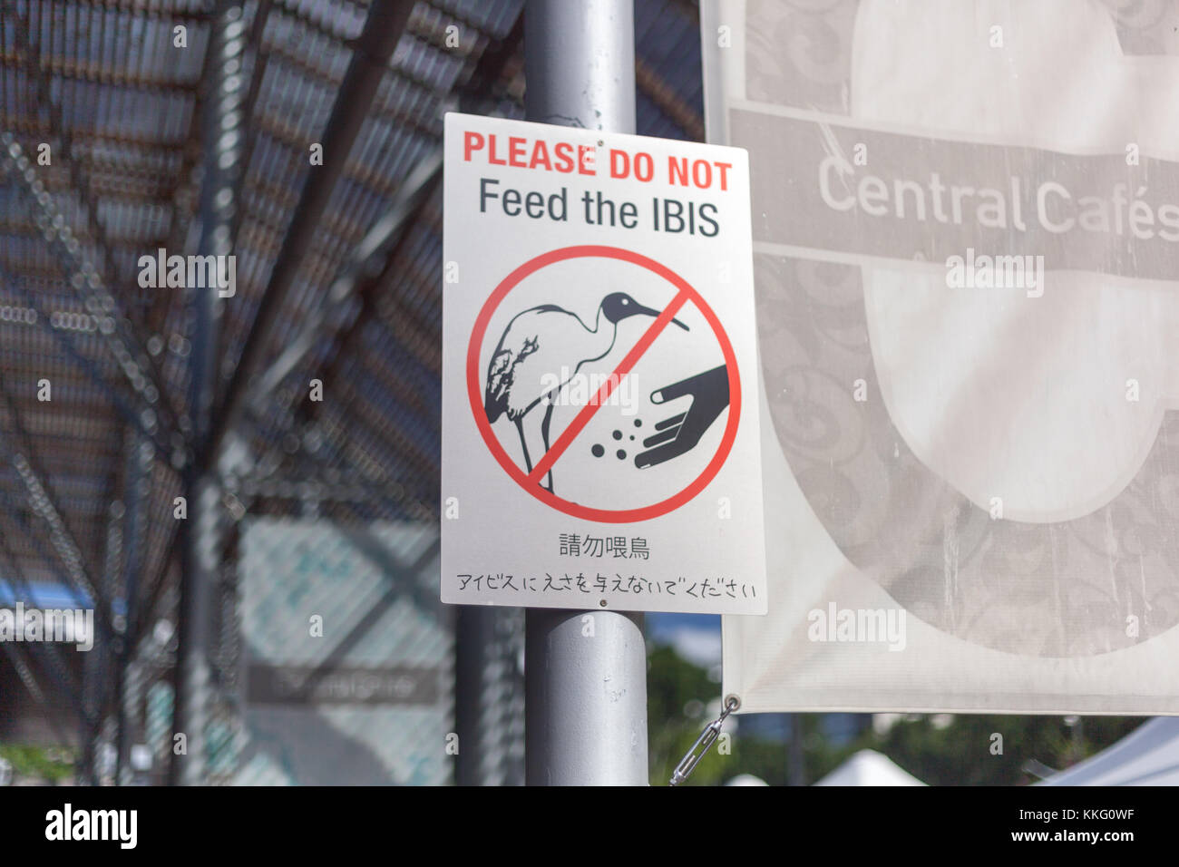 Panneau "Merci de ne pas nourrir l'ibis' Banque D'Images