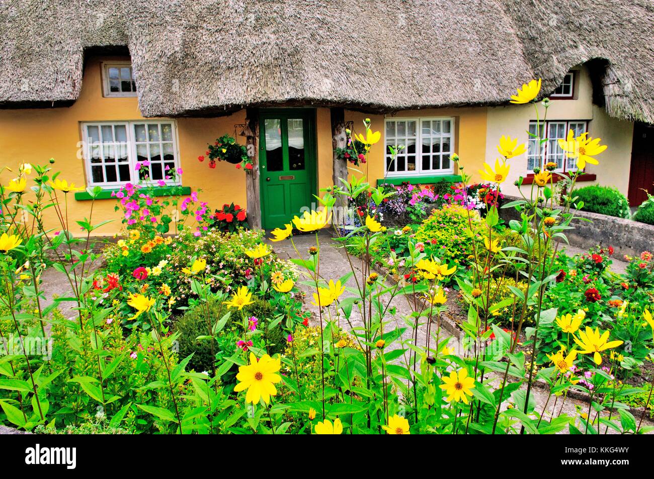 Traditionnel pittoresque chaumière avec jardin fleurs d'été de la ville d'Adare, dans le comté de Limerick, Irlande Banque D'Images