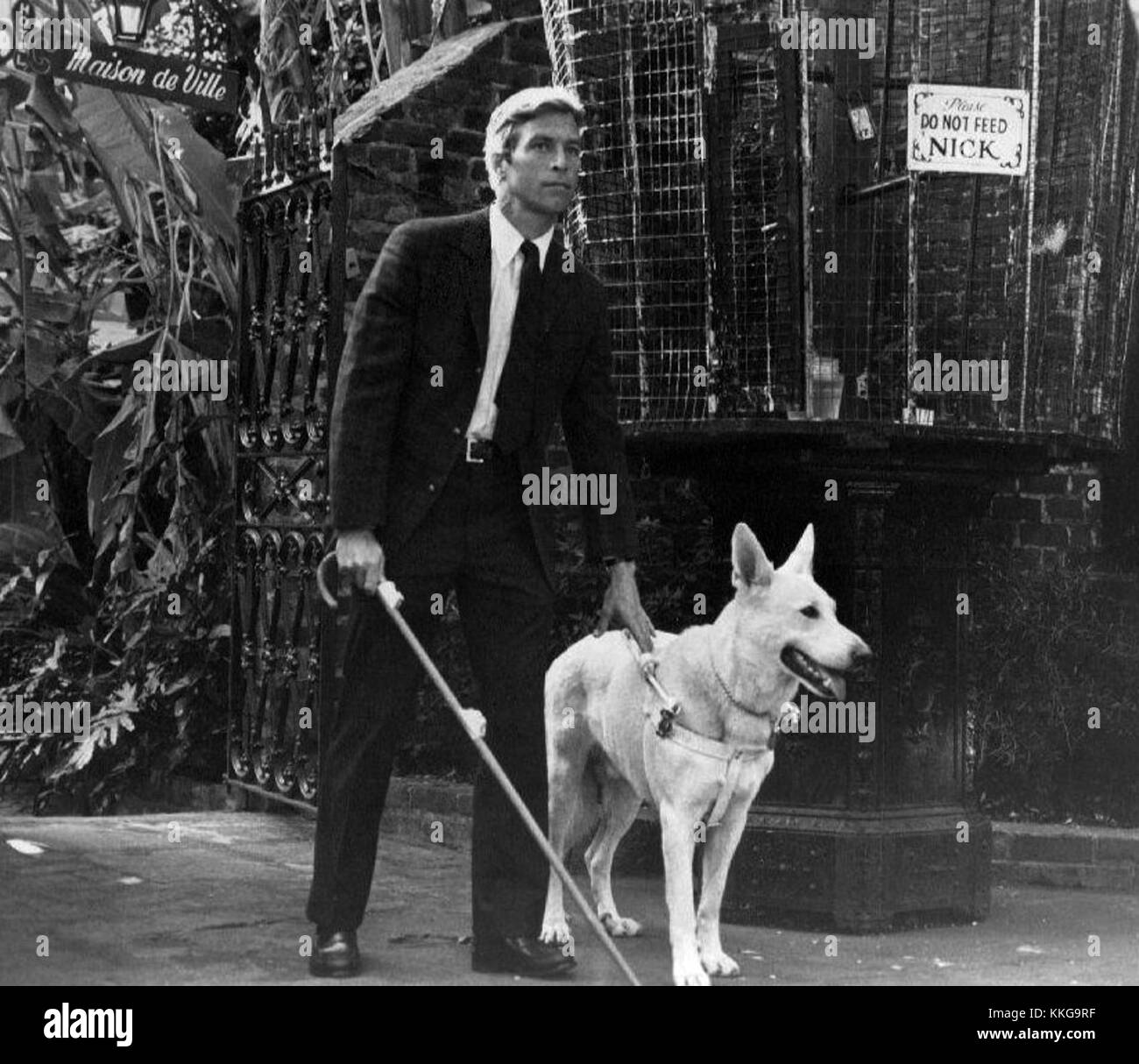 Longstreet est une série télévisée américaine de 1971 diffusée sur ABC. La série met en vedette James Franciscus dans le rôle d'un détective aveugle résolvant des crimes avec l'aide de ses amis. Banque D'Images