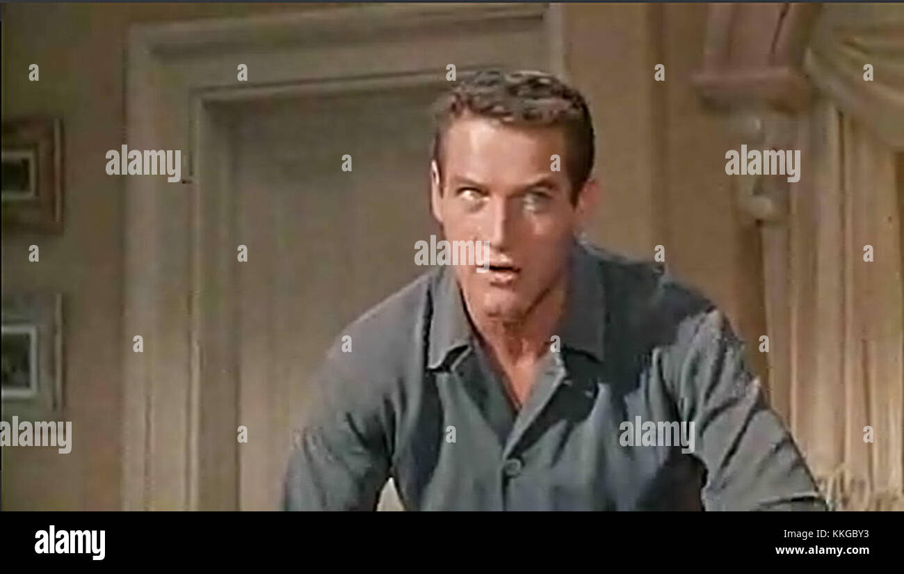 Cat on a Hot Tin Roof est un film dramatique américain de 1958 basé sur la pièce de Tennessee Williams. L'histoire se concentre sur les complexités de la dynamique familiale, y compris les secrets, les désirs et les luttes personnelles, qui se déroulent dans une maison sud-américaine. Banque D'Images