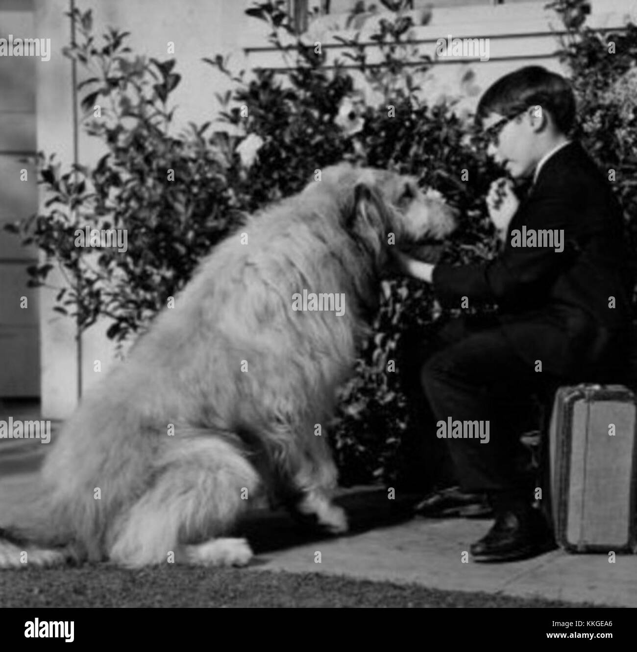 Barry Livingston est un acteur américain connu pour son rôle d'Ernie Douglas dans la populaire série télévisée 'My Three sons', diffusée de 1960 à 1969. Banque D'Images