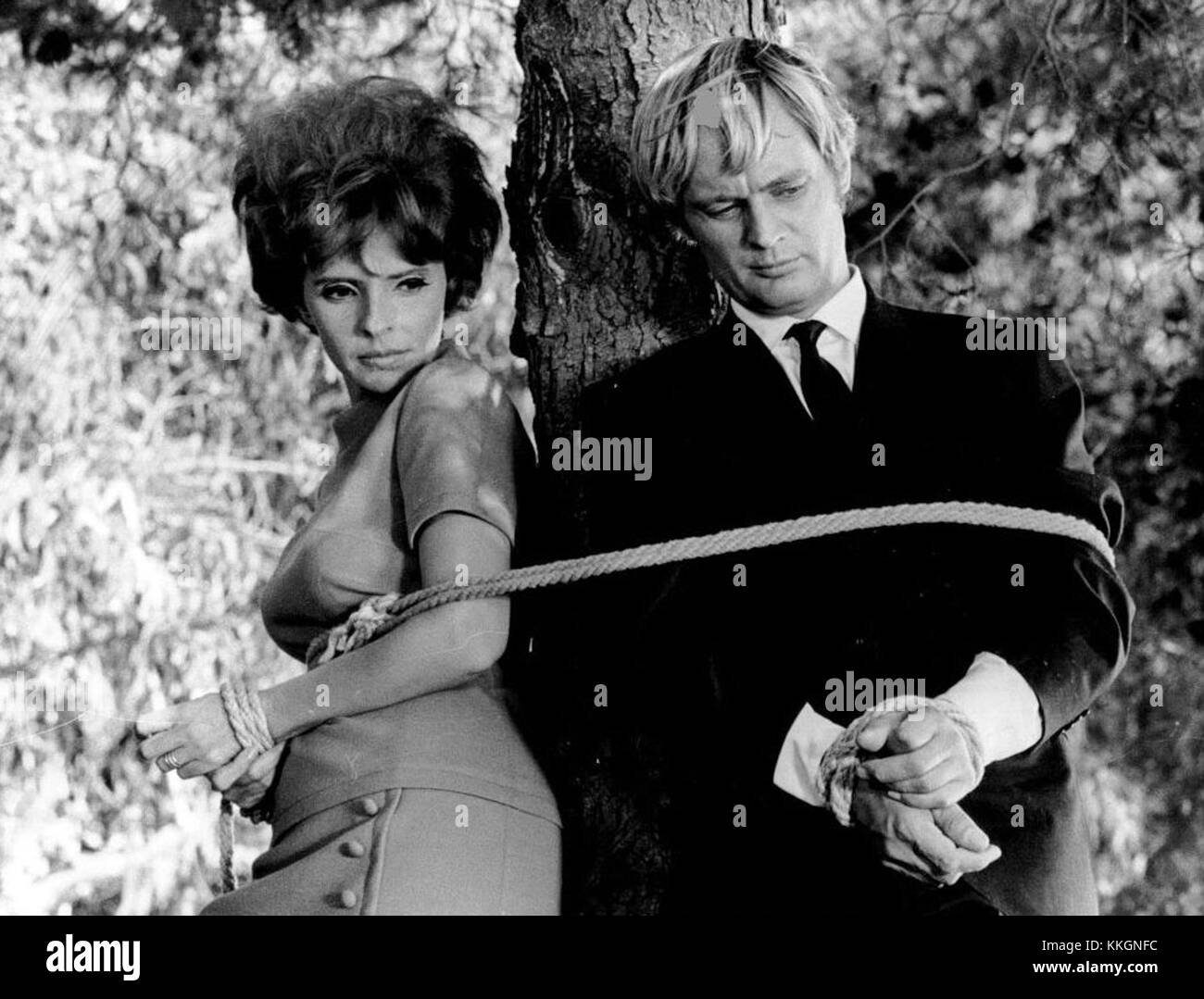 Madlyn Rhue et David McCallum ont joué dans la série télévisée populaire 'The Man from U.N.C.L.E.'. La série était connue pour ses thèmes d'espionnage et ses complots bourrés d'action, mettant en vedette une équipe d'agents luttant contre les menaces mondiales. Banque D'Images