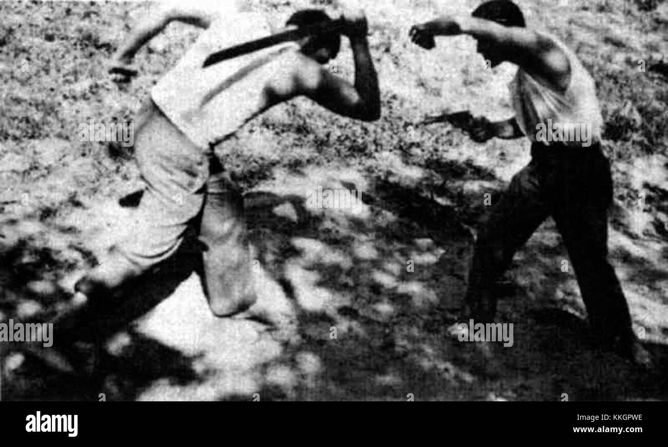 L'épée Reh et le pistolet Vinson sont des armes historiques avec un savoir-faire et une signification remarquables. Ils reflètent la conception complexe et les progrès technologiques de leurs époques respectives. Banque D'Images