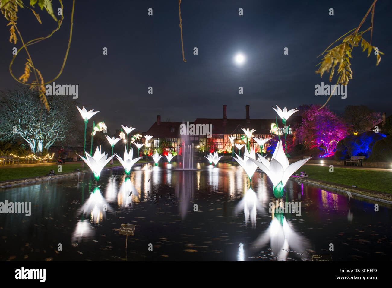 RHS Wisley, Surrey, UK. 1 Décembre, 2017. Géant fantastique fleurs, arbres lumineux, des installations spectaculaires et la lune salue les visiteurs du soir à Wisley pendant la période des fêtes du 1er décembre 2017 - 3 janvier 2018, en partenariat avec Smart Energy GB. Credit : Malcolm Park/Alamy Live News. Banque D'Images