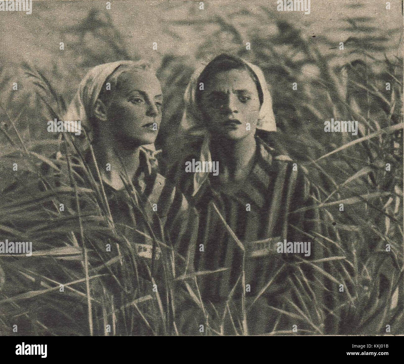 Le film *Ostatni Etap* (The Last Stage) de 1947 met en scène Barbara Fijewska et Maria Winogradowa dans une histoire qui se déroule pendant la première Guerre mondiale. Le film décrit les luttes et les expériences des femmes polonaises dans les camps de concentration, offrant un reflet poignant de l'impact de la guerre. Banque D'Images