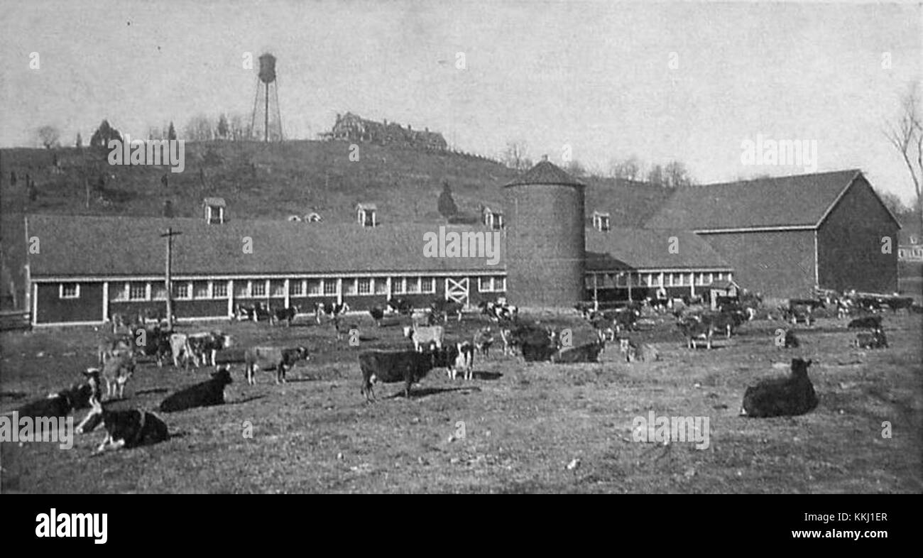Cet ensemble d'images capture des scènes du village de Briarcliff Manor, offrant un aperçu de la communauté locale et de son environnement. Il reflète la vie quotidienne et la culture de la région. Banque D'Images