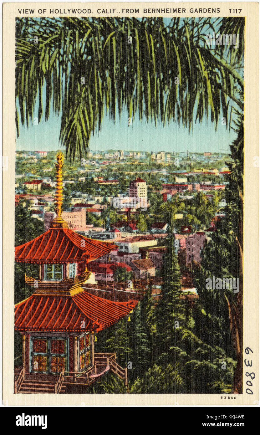 Une vue panoramique de Hollywood, Californie, capturée depuis les jardins Bernheimer. L'image met en valeur le panneau emblématique d'Hollywood et le paysage tentaculaire de la ville, offrant une perspective sur le célèbre centre de divertissement. Banque D'Images