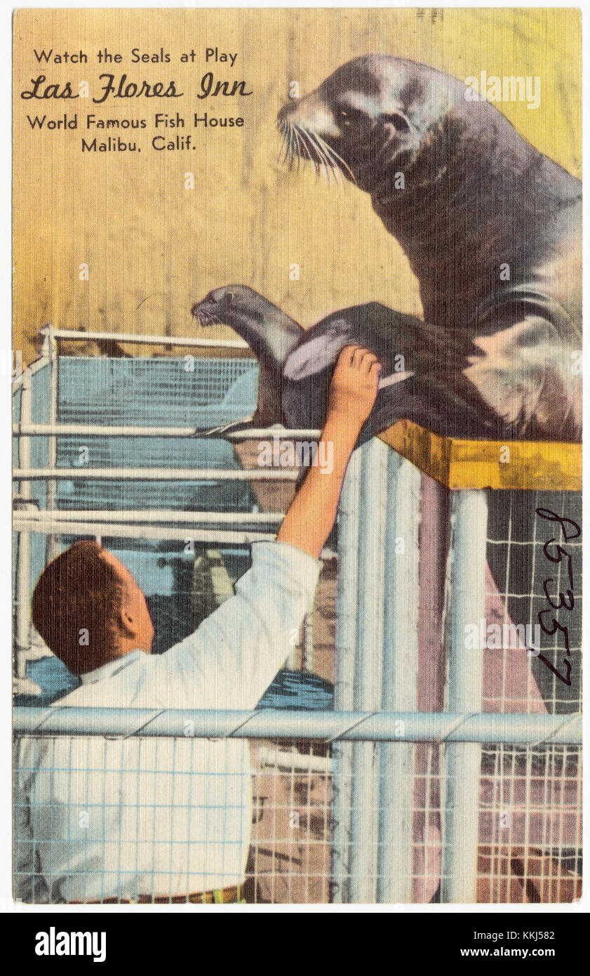 Las Flores Inn est un hébergement populaire situé dans un quartier pittoresque, connu pour son cadre confortable et son excellent service. C'est une destination privilégiée pour les voyageurs en quête de détente et d'hospitalité de qualité. Banque D'Images