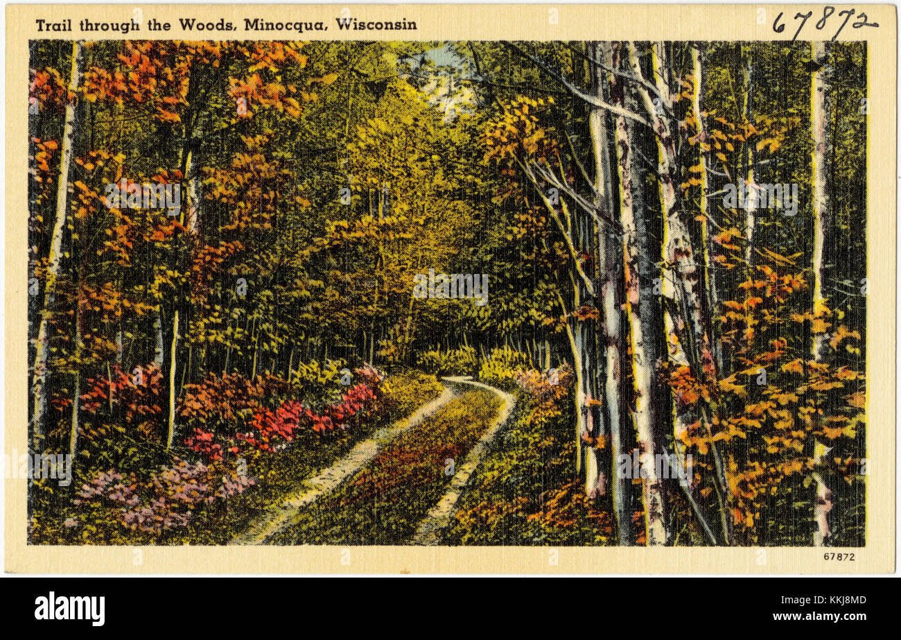 Sentier à travers les bois, Minocqua, Wisconsin (67872) Banque D'Images