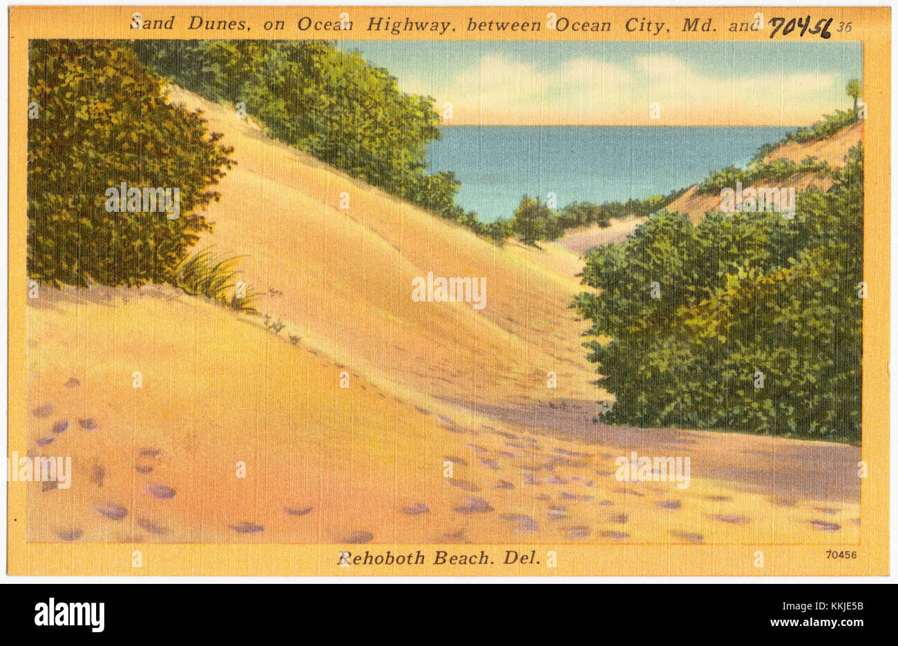 Les dunes de sable le long de l'Ocean Highway entre Ocean City, Maryland, et Rehoboth Beach, Delaware, représentent un paysage naturel important, jouant un rôle clé dans la préservation de l'écosystème côtier. Banque D'Images