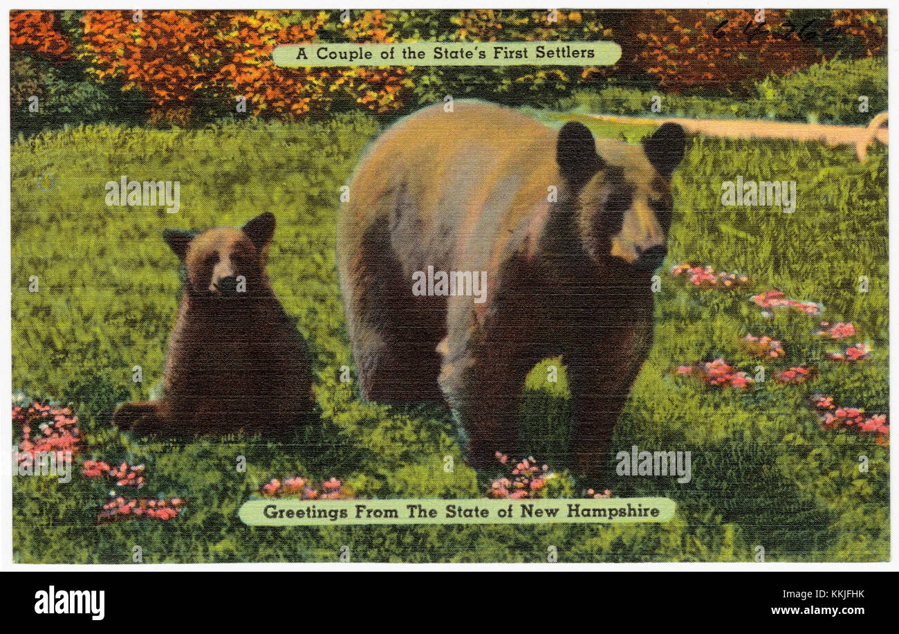 Cette image représente probablement une représentation de certains des premiers colons du New Hampshire, peut-être montrée sous forme de carte postale avec un message de bienvenue de l'État. Banque D'Images