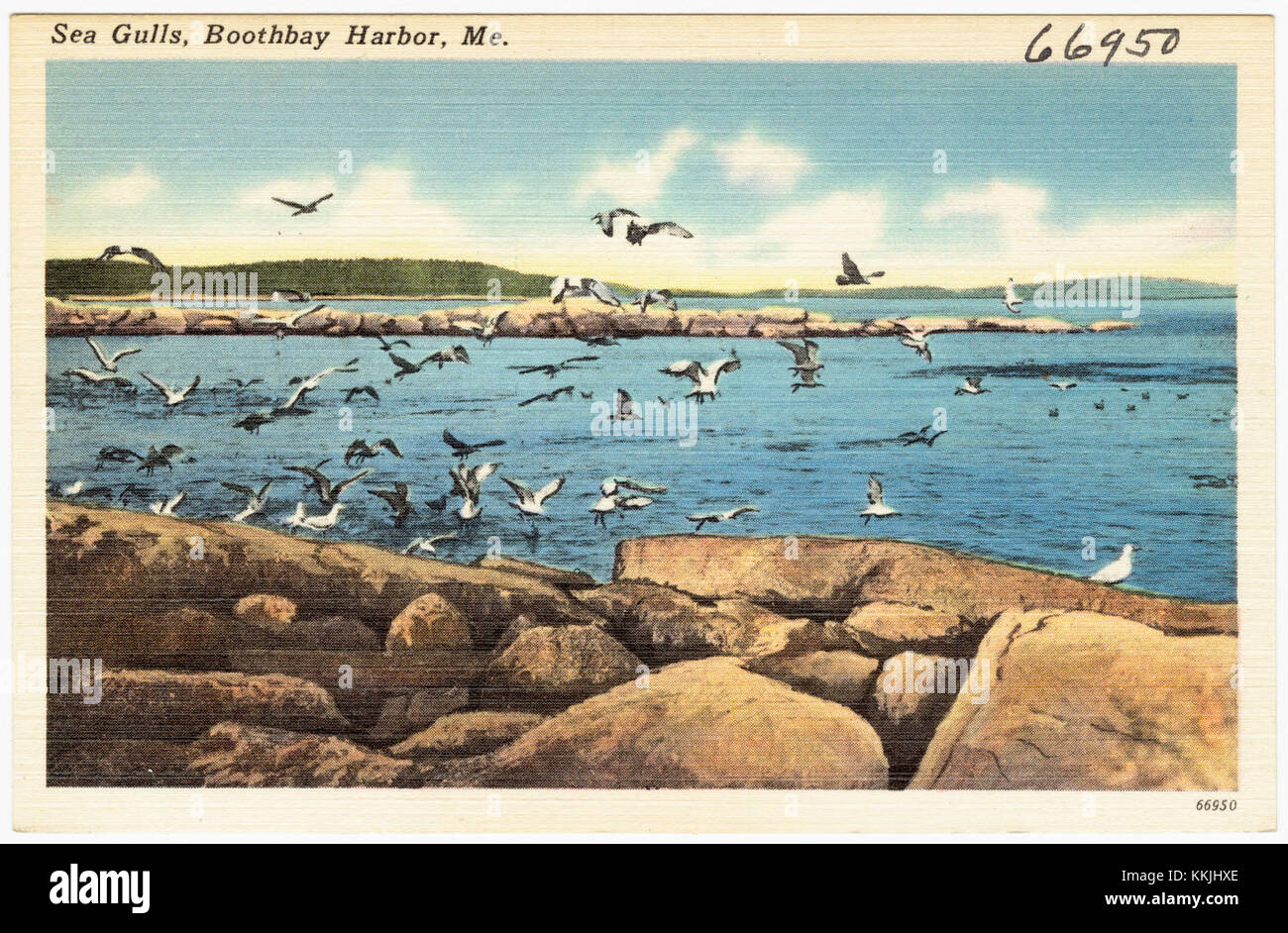 Cette image capture des goélands de mer à Boothbay Harbor, Maine. Connu pour sa beauté côtière, le port est un endroit populaire pour l'observation des oiseaux et les activités maritimes. Banque D'Images
