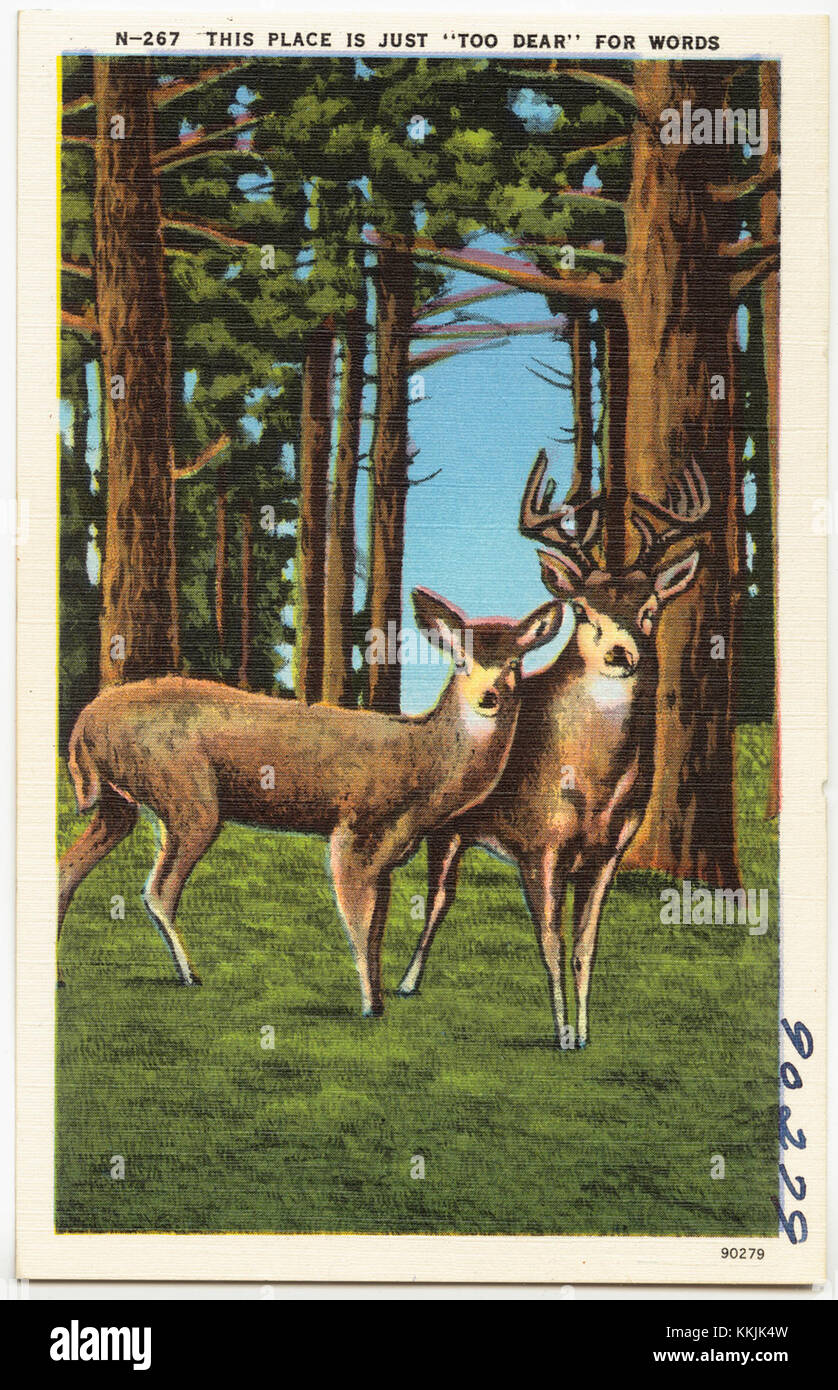 Cette expression fait probablement référence à un endroit visuellement époustouflant ou émotionnellement impactant, évoquant un sentiment d'admiration ou de vénération pour sa beauté ou sa signification. Il peut décrire un lieu ayant une valeur personnelle ou culturelle. Banque D'Images