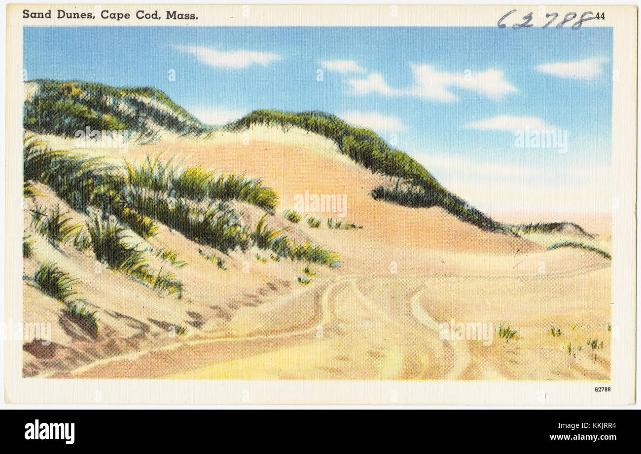 Photographie des dunes de sable de Cape Cod, Massachusetts, mettant en valeur le paysage naturel de la région côtière. Banque D'Images
