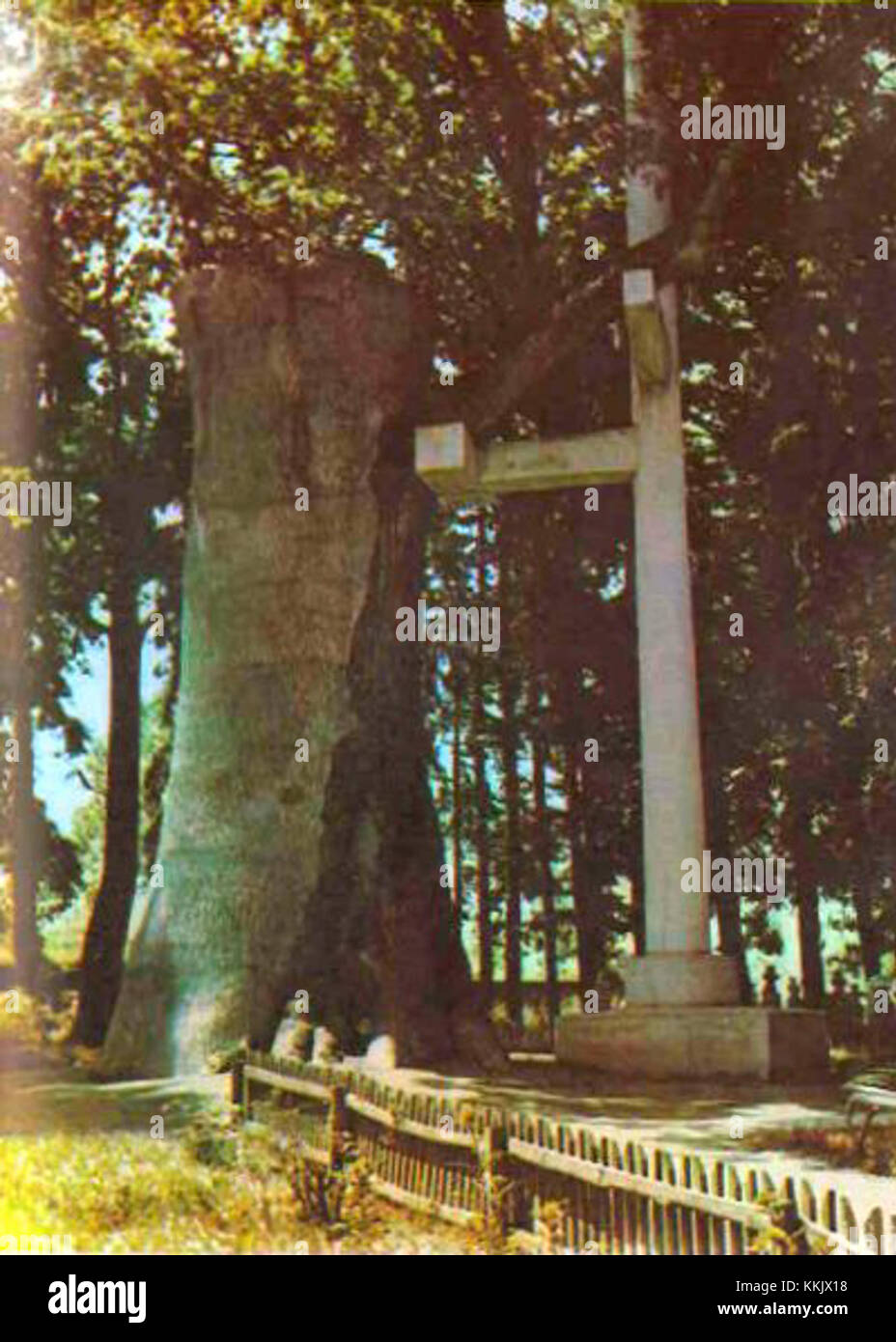 Gorunul lui Horea (l'apparition de Horea) est un monument historique roumain datant de 1987. Il commémore Horea, un héros national qui a mené un soulèvement au XVIIIe siècle pour les droits des paysans contre l'aristocratie et les forces impériales. Banque D'Images