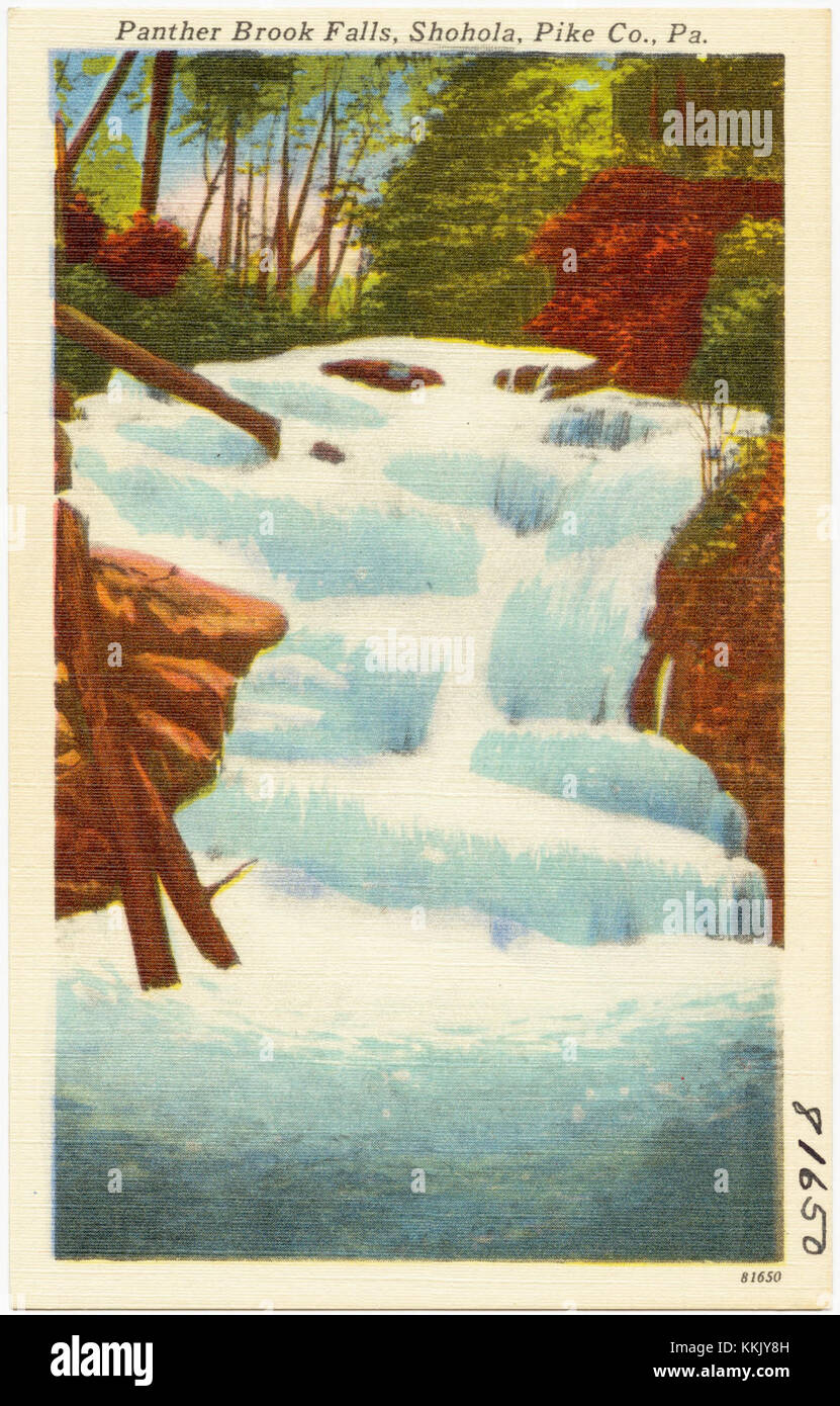 Panther Brook Falls est une cascade naturelle située à Shohola, dans le comté de Pike, en Pennsylvanie. Le site est connu pour sa beauté pittoresque et est une destination populaire pour les passionnés de nature et les photographes. Banque D'Images