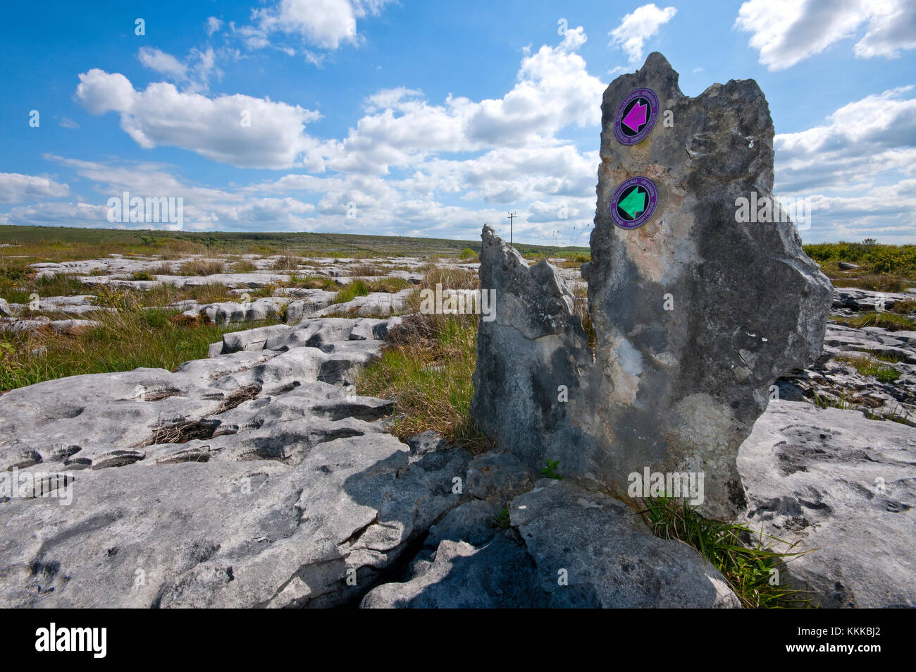 Marqueurs de sentiers dans le Parc National de Burren, comté de Clare, Irlande Banque D'Images