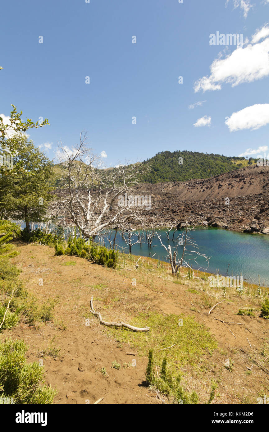 Le lac El Escorial et forêt pétrifiée par l'action de la lave volcanique. nalcas réserve nationale, parc national. La Patagonie chilienne, chili. Banque D'Images