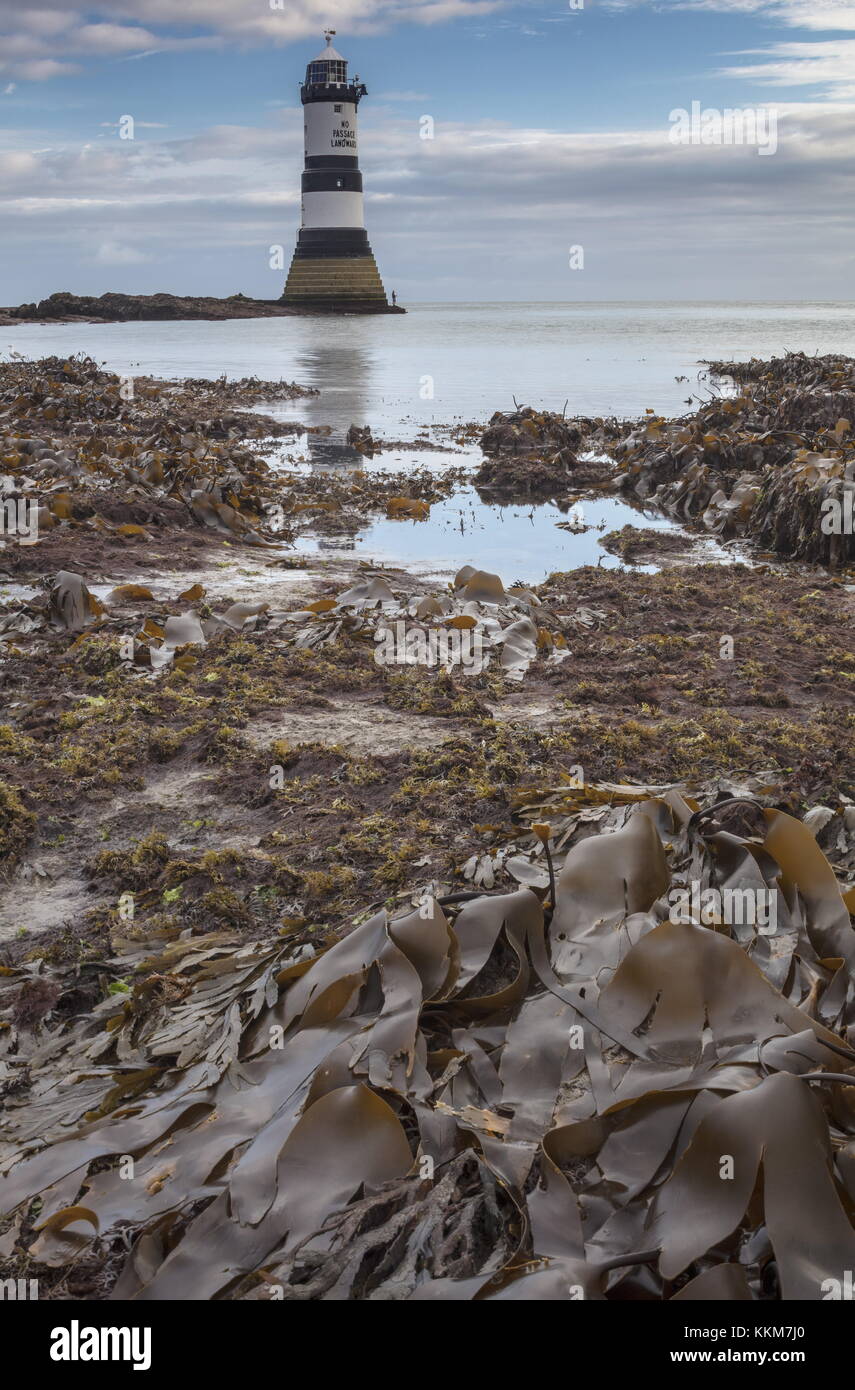 * 1963 : ouverture intégrale du phare, Penmon, à marée basse, à l'aube dans le nord-est de l'Anglesey. Banque D'Images * 1963 : ouverture intégrale du phare, Penmon, à marée basse, à l'aube dans le nord-est de l'Anglesey. Banque D'Images