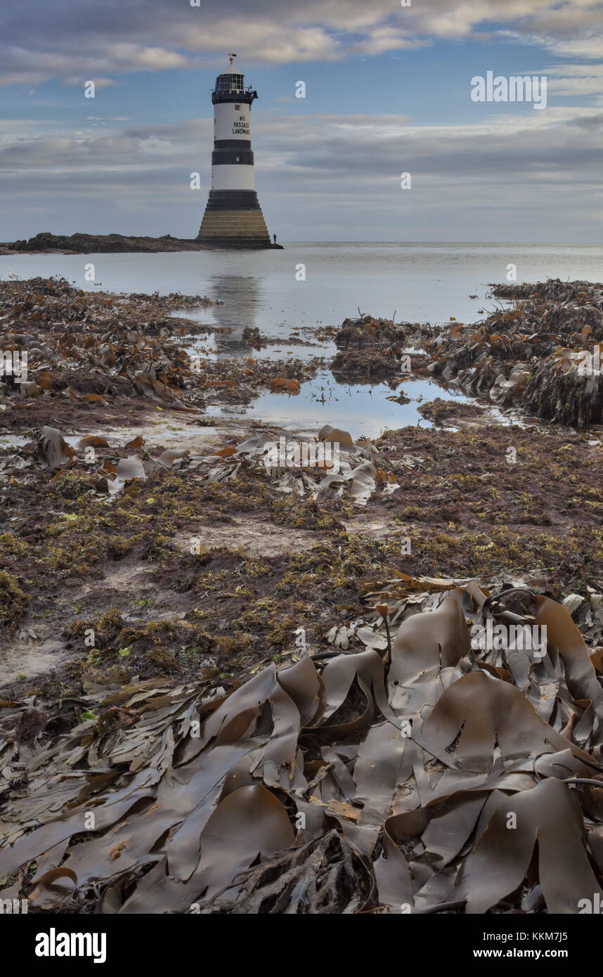 * 1963 : ouverture intégrale du phare, Penmon, à marée basse, à l'aube dans le nord-est de l'Anglesey. Banque D'Images * 1963 : ouverture intégrale du phare, Penmon, à marée basse, à l'aube dans le nord-est de l'Anglesey. Banque D'Images