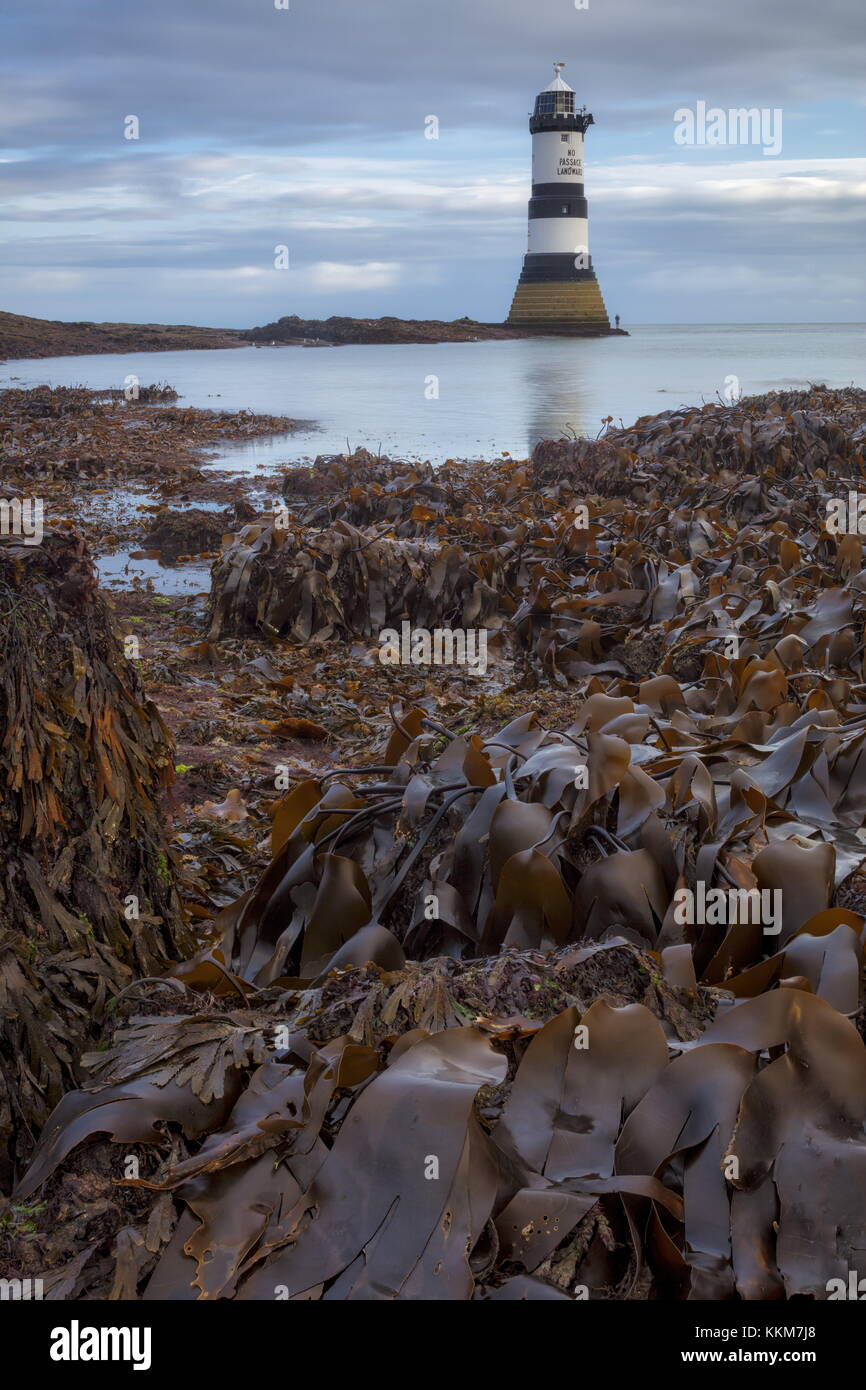 * 1963 : ouverture intégrale du phare, Penmon, à marée basse, à l'aube dans le nord-est de l'Anglesey. Banque D'Images * 1963 : ouverture intégrale du phare, Penmon, à marée basse, à l'aube dans le nord-est de l'Anglesey. Banque D'Images