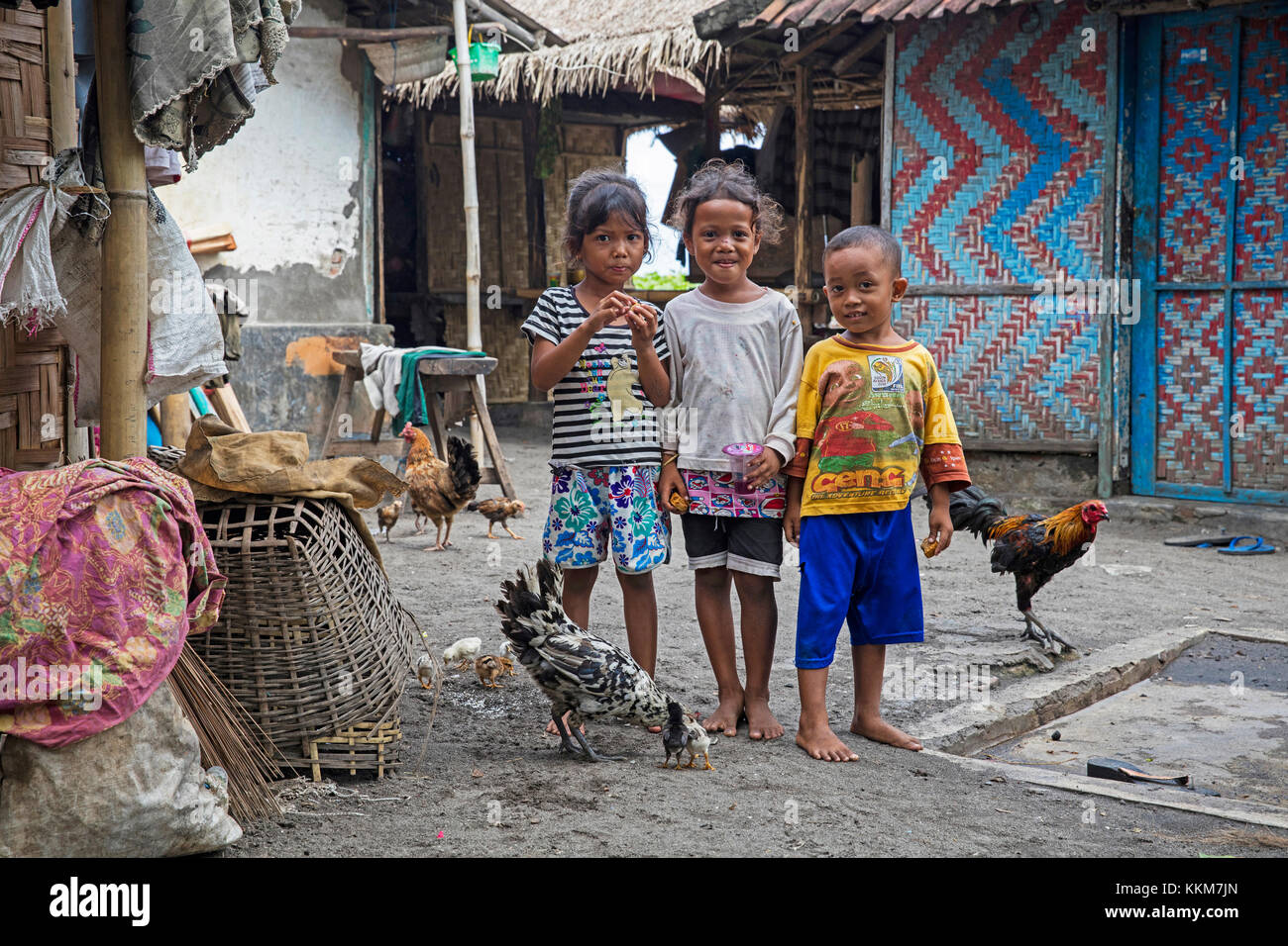 Les enfants indonésiens avec des poules dans un petit village de pêcheurs avec des maisons de bambou sur l'île de Lombok en Indonésie Banque D'Images