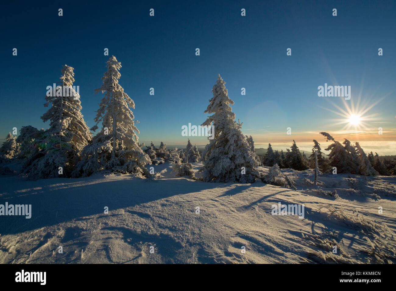 Paysage d'hiver au Brocken, Harz, SAXE-ANHALT, Allemagne, Banque D'Images
