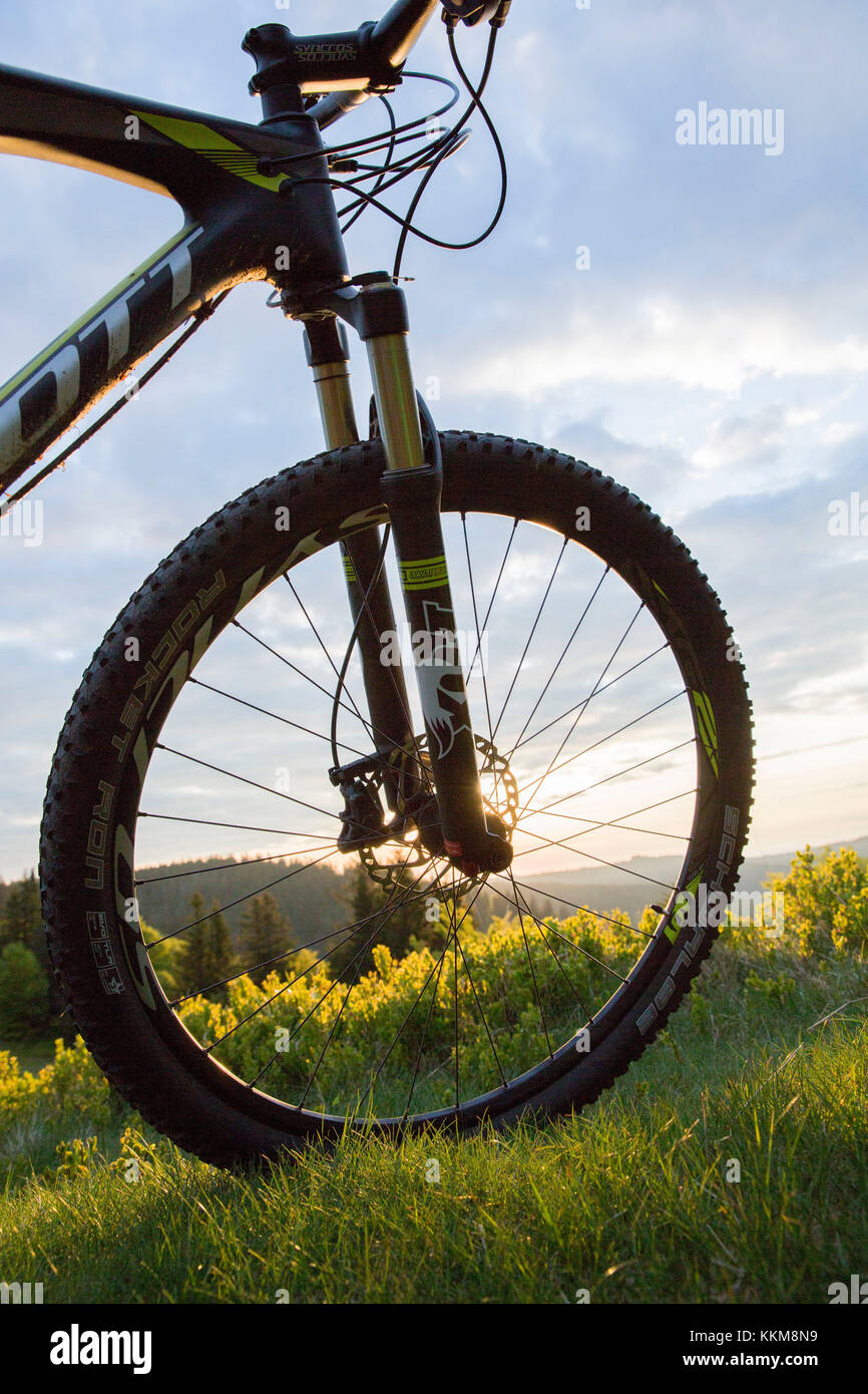 Vélo de montagne au herzogenhorn, forêt noire, baden-Württemberg, Allemagne Banque D'Images