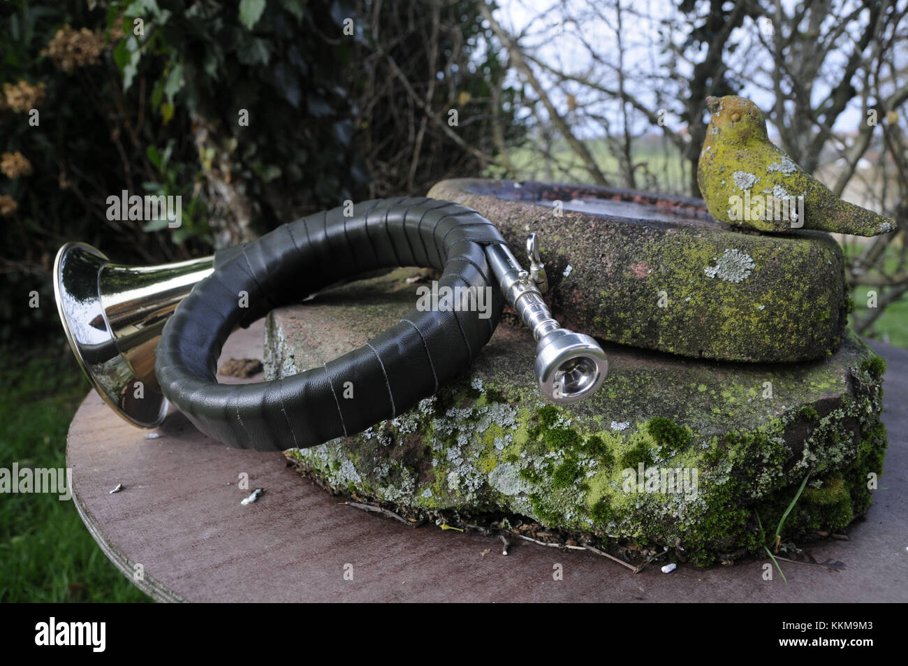 Cor de chasse sur à côté de pierre couvert de mousse bain d'oiseau en pierre Banque D'Images