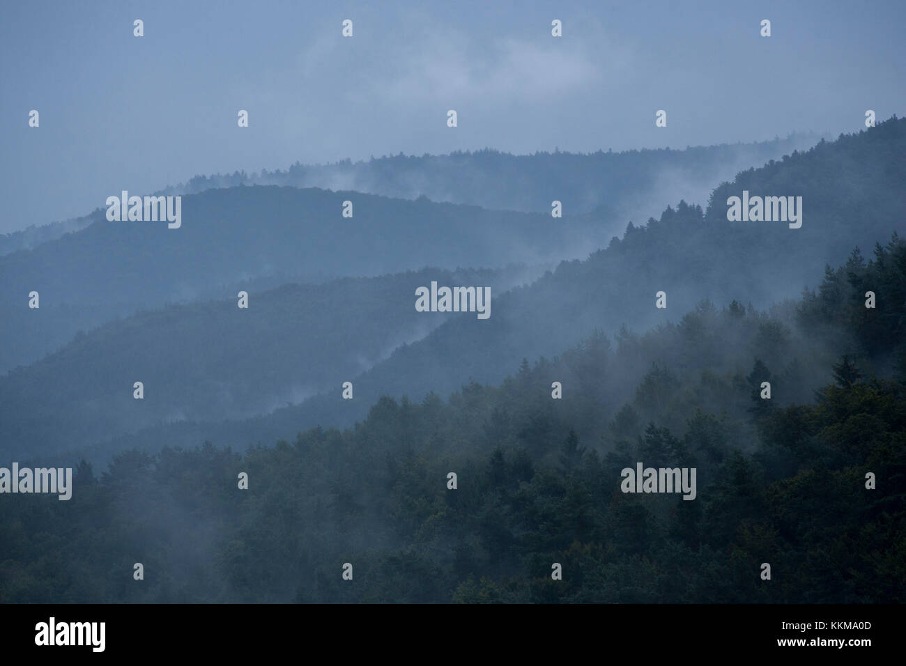 Vue depuis les ruines du château de Drachenfels, des paysages forestiers de la forêt du Palatinat, Rhénanie-Palatinat, Allemagne, Banque D'Images