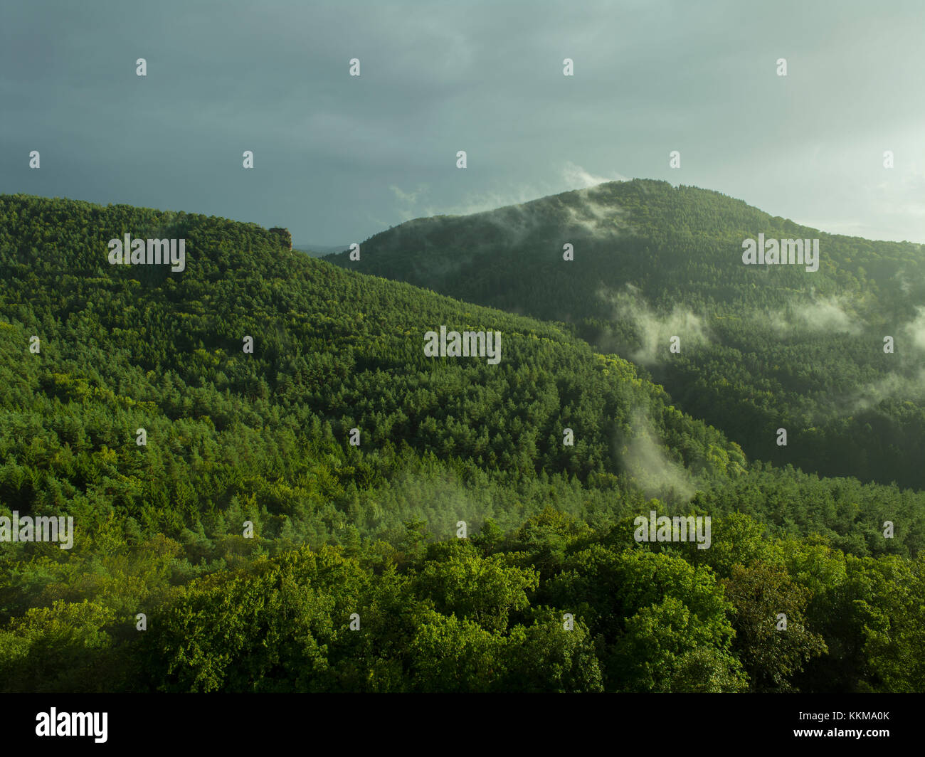 Vue depuis les ruines du château de Drachenfels, des paysages forestiers de la forêt du Palatinat, Rhénanie-Palatinat, Allemagne, Banque D'Images